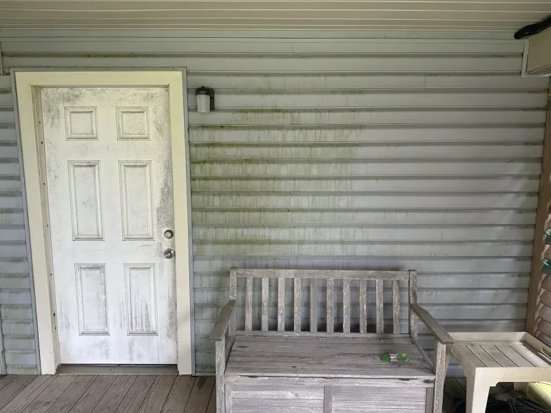 Before: green algae streaks on siding and a mildewed door